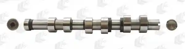 WILMINK GROUP WG1462557