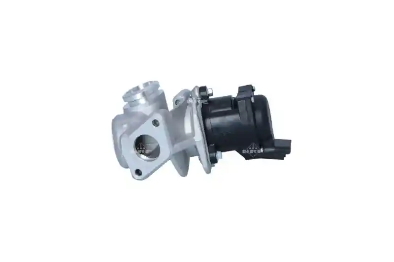 WILMINK GROUP WG2161797