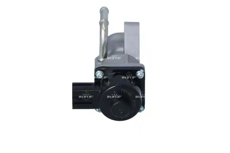 WILMINK GROUP WG2161809