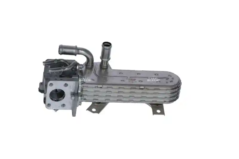 WILMINK GROUP WG2161840