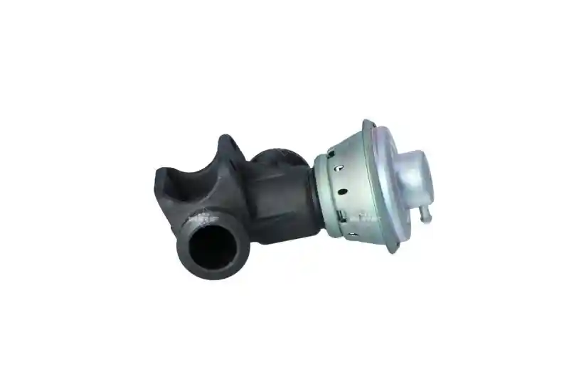WILMINK GROUP WG2161864
