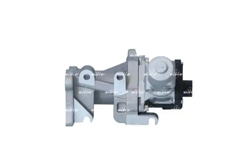 WILMINK GROUP WG2184509