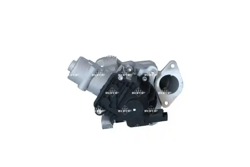 WILMINK GROUP WG2184509