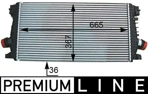 WILMINK GROUP WG2370807