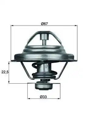 WILMINK GROUP WG2401496