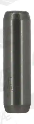 WILMINK GROUP WG2413573